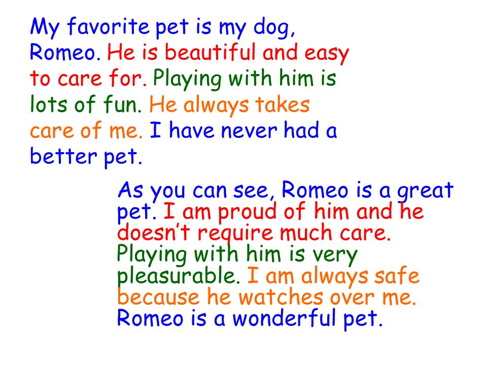 best essay on my pet dog
